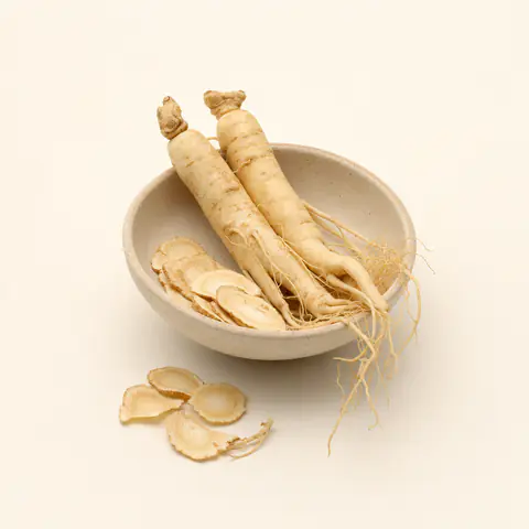 Raíz de ginseng Panax, ingrediente de Eroferon para la energía en la intimidad