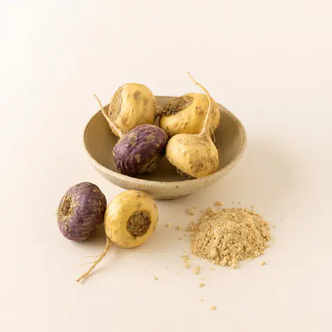Raíz de maca andina (Lepidium meyenii), ingrediente de Eroferon para el deseo sexual